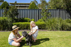 Image of 2 young girls petting their dog in their backyard with a grey colorbond fence in the background